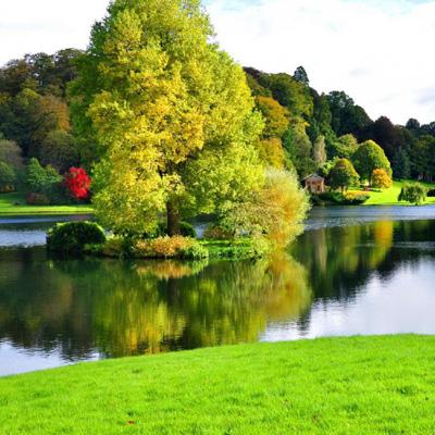 尊龙AG旗舰厅app下载截图