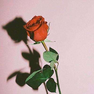 一分钟赛车截图