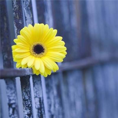 Kaiyun(云开)体育App(官方)手机app下载