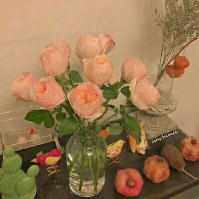 皇冠APP下载安装截图