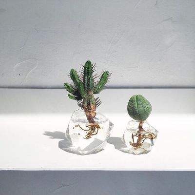 一分钟赛车截图