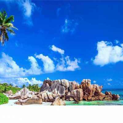 乐鱼APP官方登录入口leyu